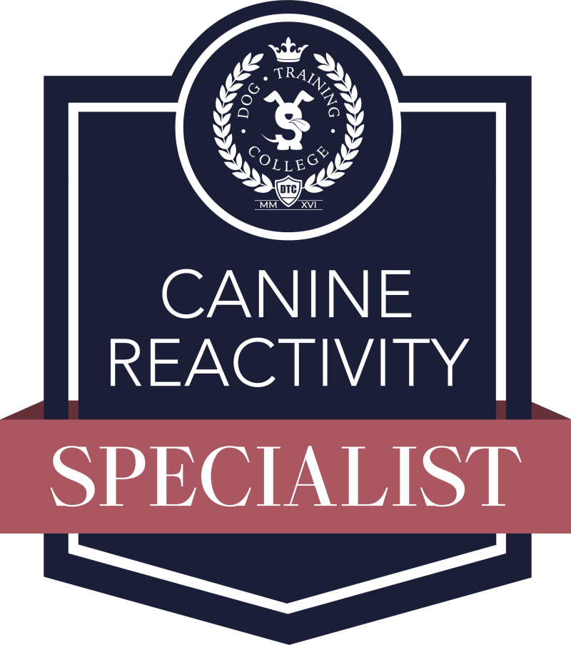 dog reactive wigan chorley