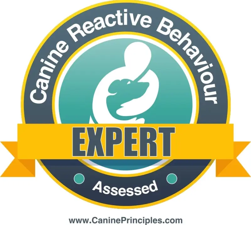 canine behavourist wigan chorley