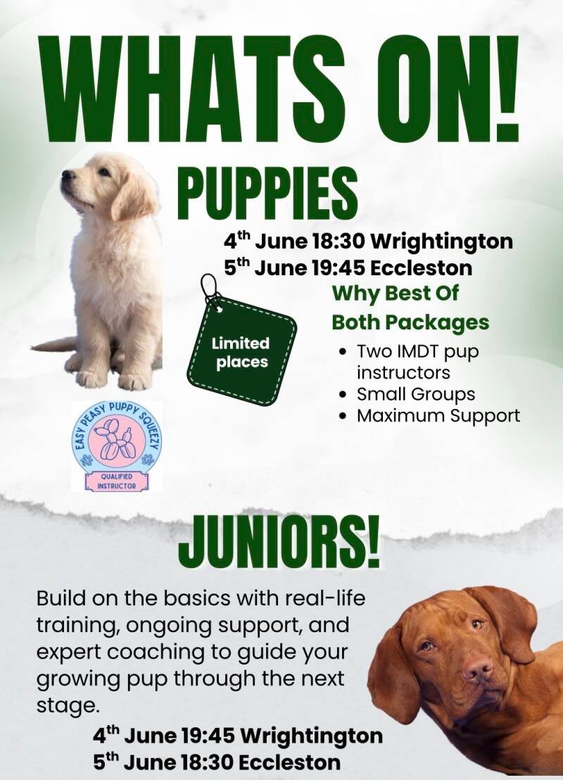 puppy sessions Wigan Prestonleyland chorley