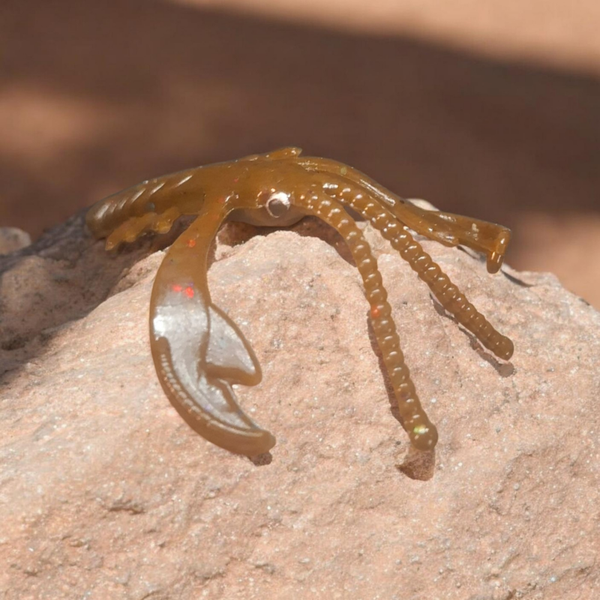 GS CRAW LOBBY COOKIE