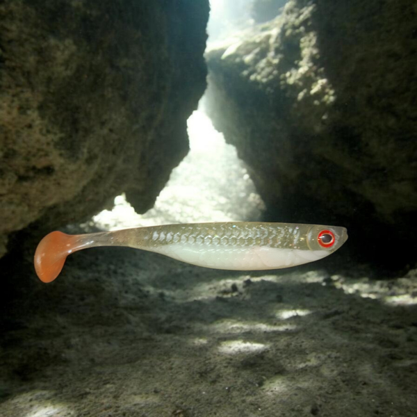 GS Shad Striker "Roachy"