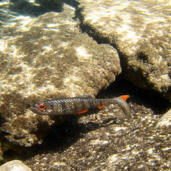 GS Matrix "Dark Perch" 9cm