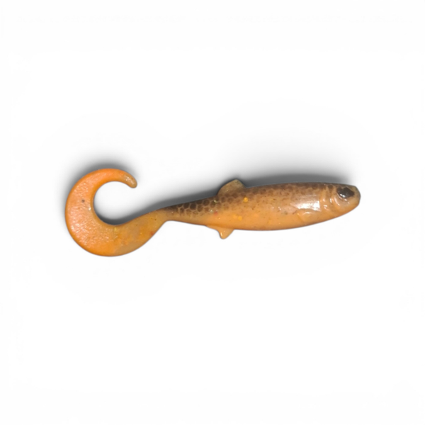 GS Curly Cattle "Brownie" 6,5cm