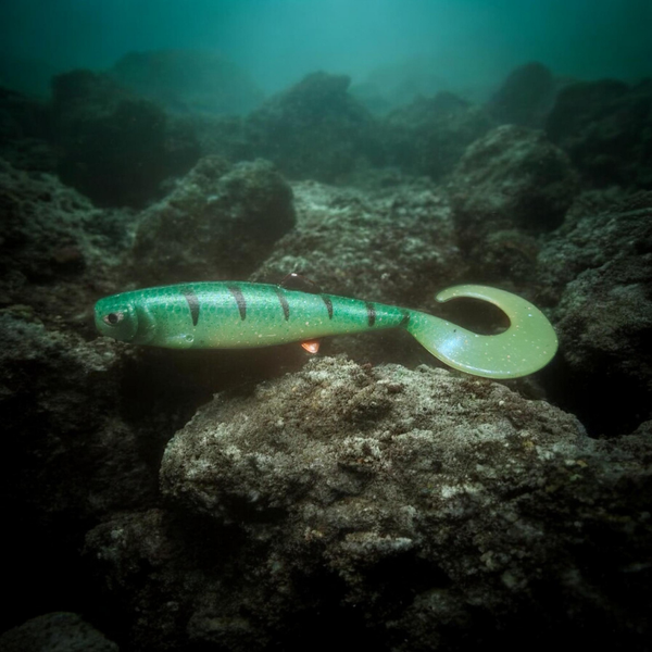 GS Curly Cattle "Light Perch" 15cm
