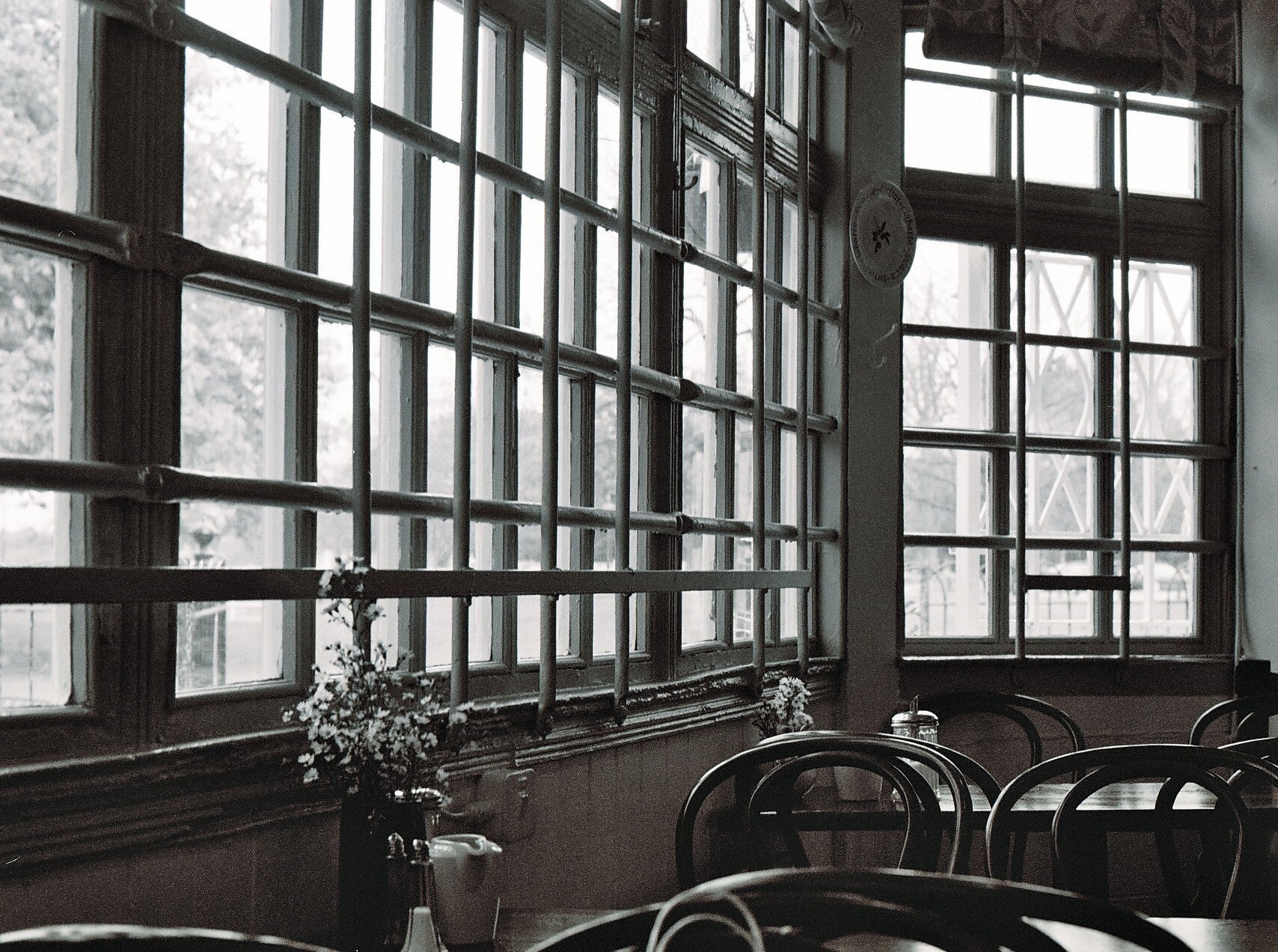 Phoenix Park, Dublin, tearoom window