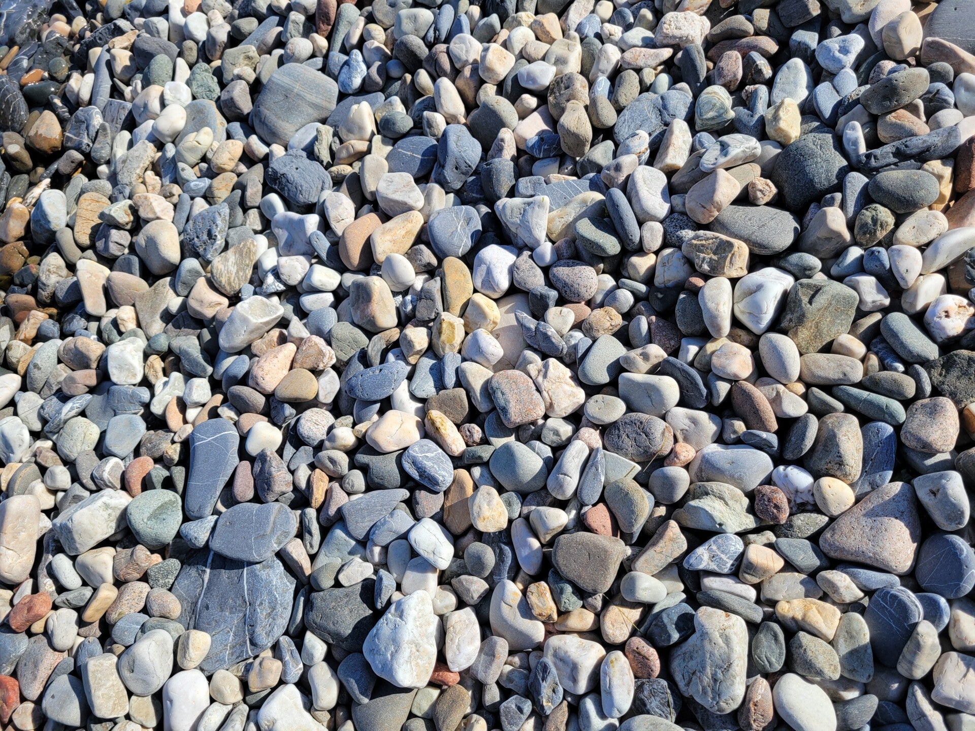 Isle of Lismore, Inner Hebrides, Argyll, Scotland. Close up of shingle., 