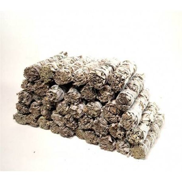 AA 3 COLONNES SAUGE BLANCHE CALIFORNIE