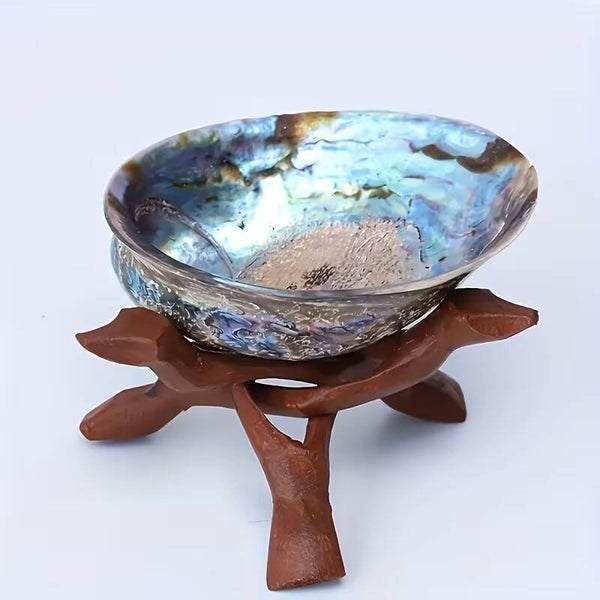 Z SUPPORT ET COQUILLAGE