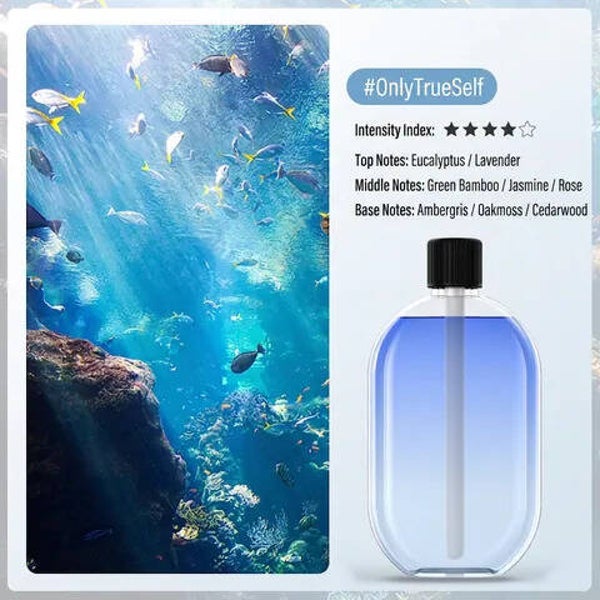 DIFFUSEUR USB CARTOUCHE DE RECHANGE