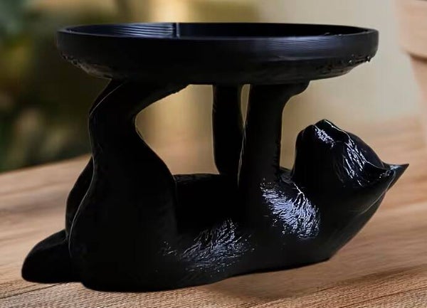 PE CHATON SUR LE DOS