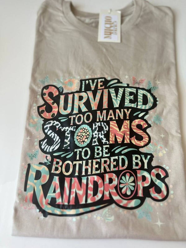 I survived the storm