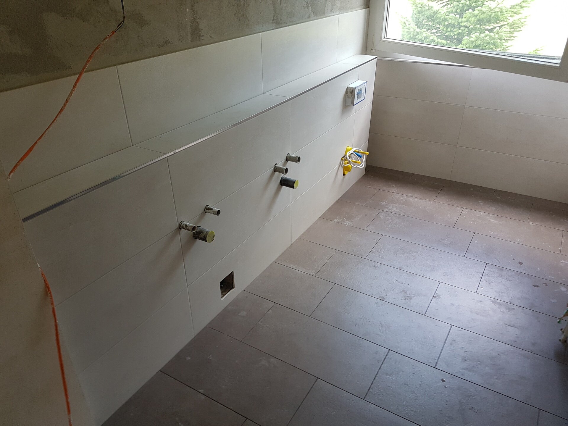 1000006253-standard.jpg
