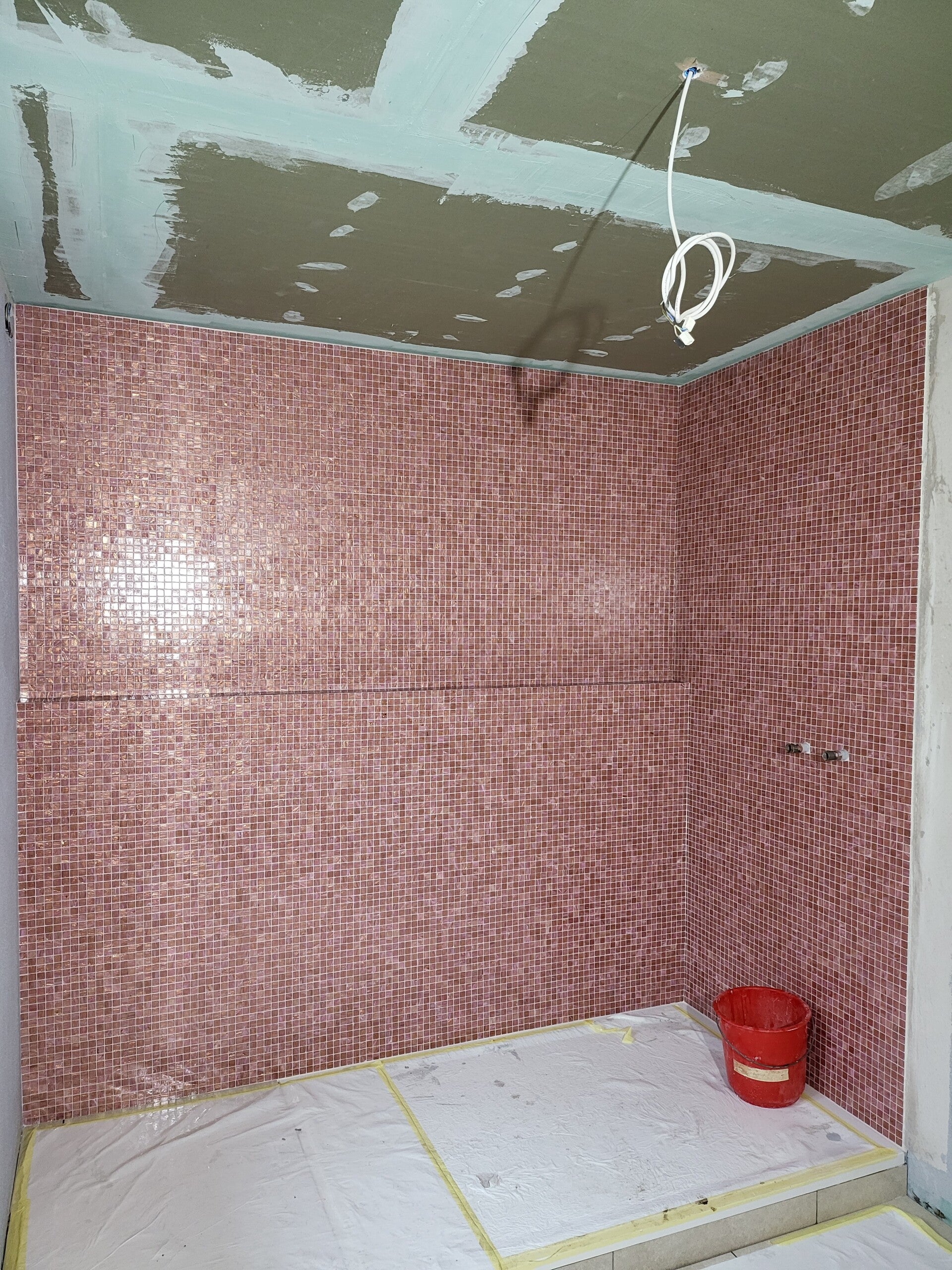 1000007920-standard.jpg