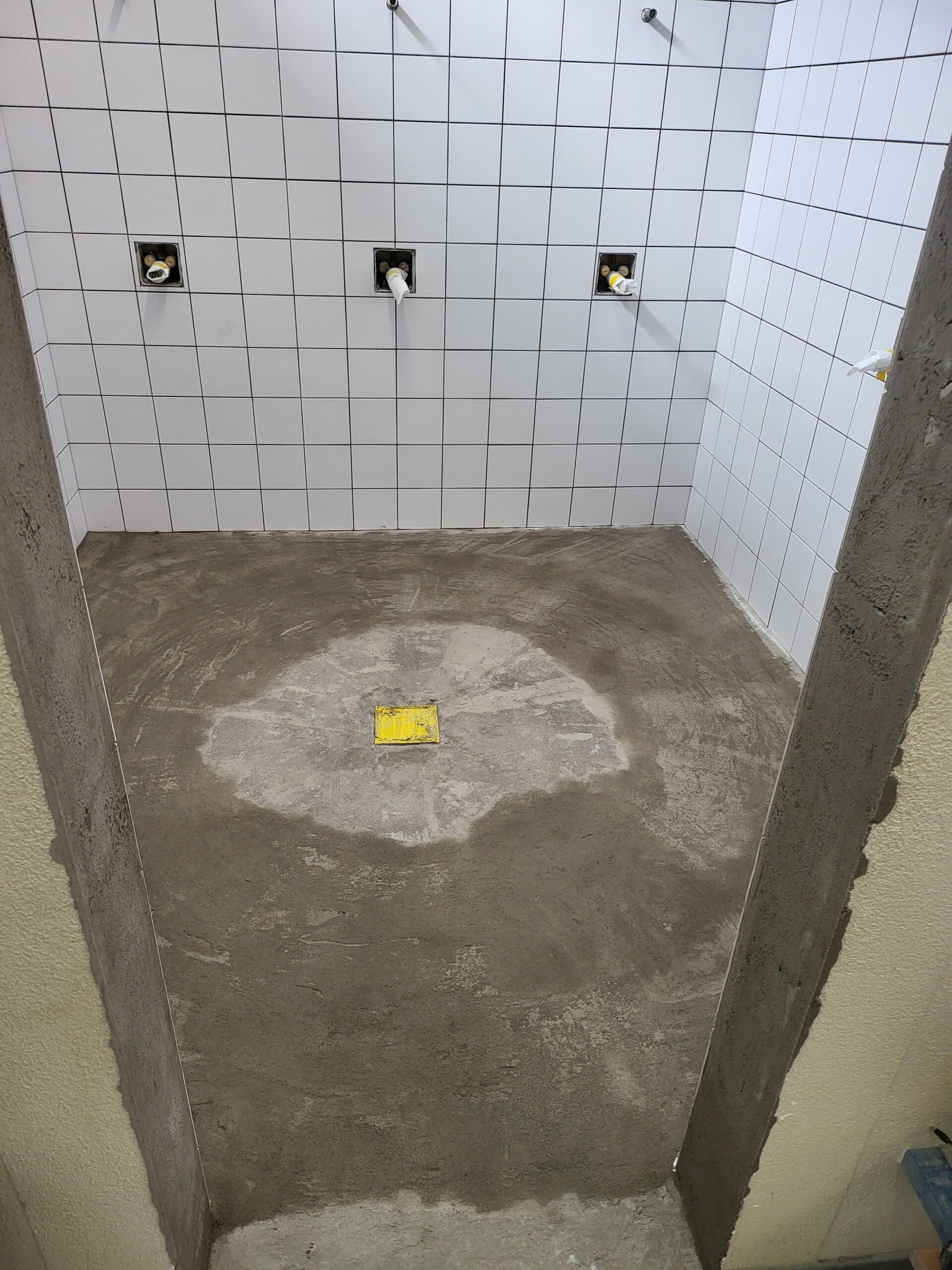 1000014733-standard.jpg