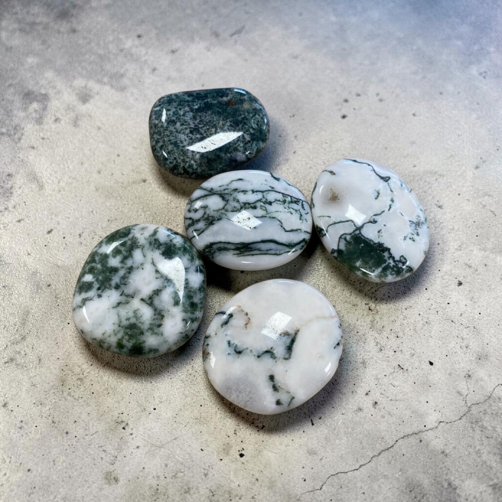 Agate arbre galet