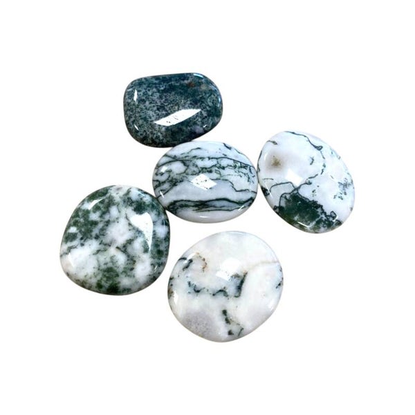 Agate arbre galet