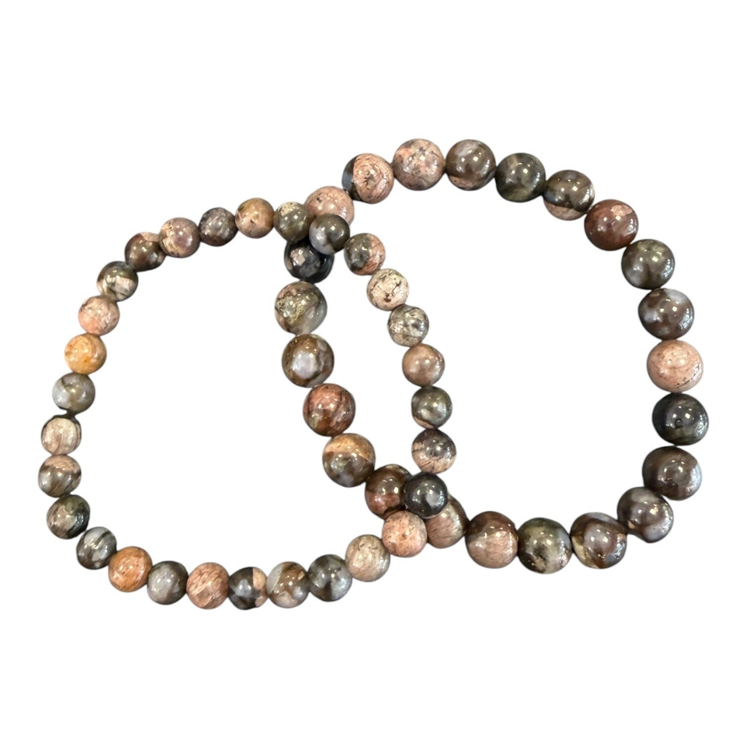 Bracelet Agate Turritelle - Agate fossile