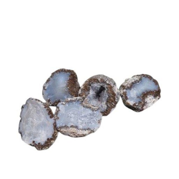 Agate Noix de Coco