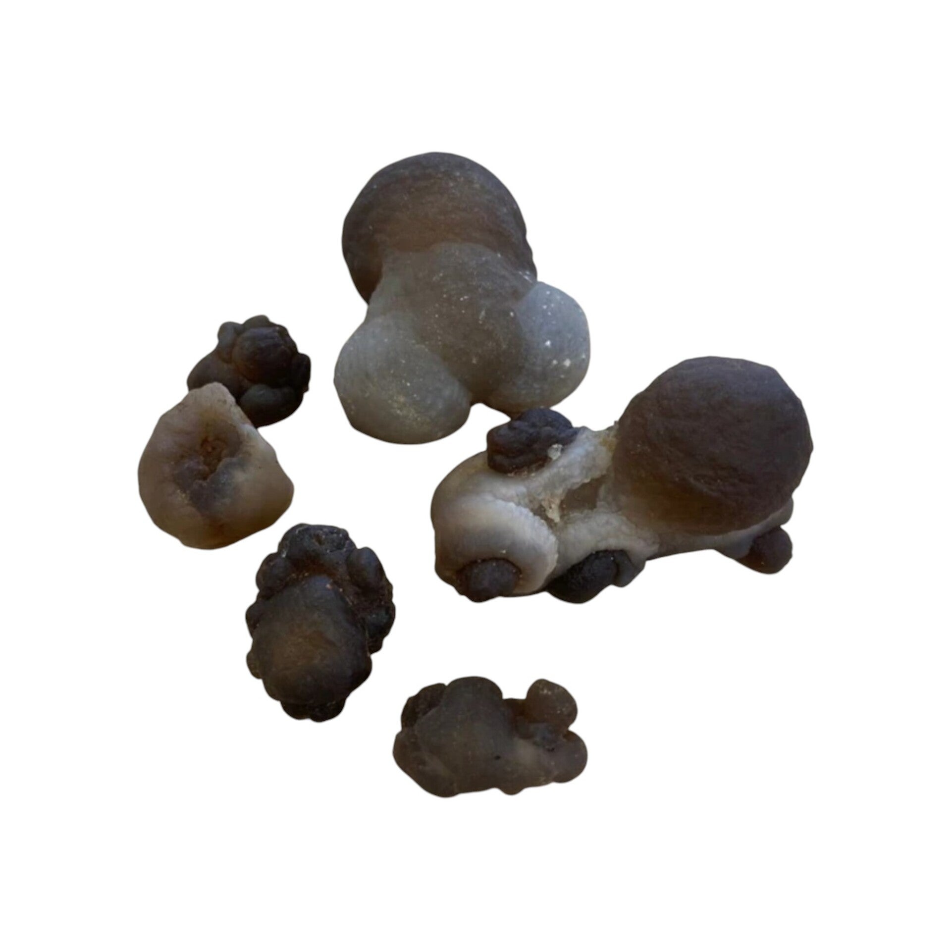 Agate Panda