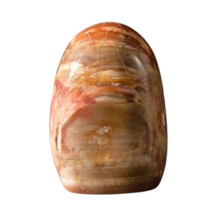 Bois Fossile forme libre