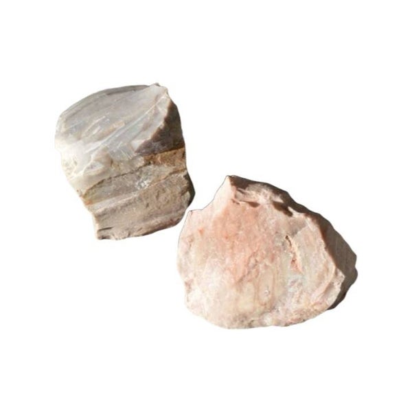 Bois Fossile brut