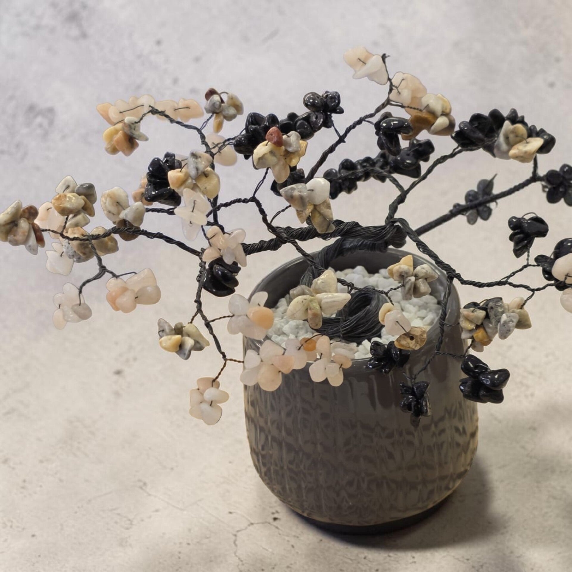 bonzai-agate-crazy-lace-av-peche-obs-noire-standard.jpg