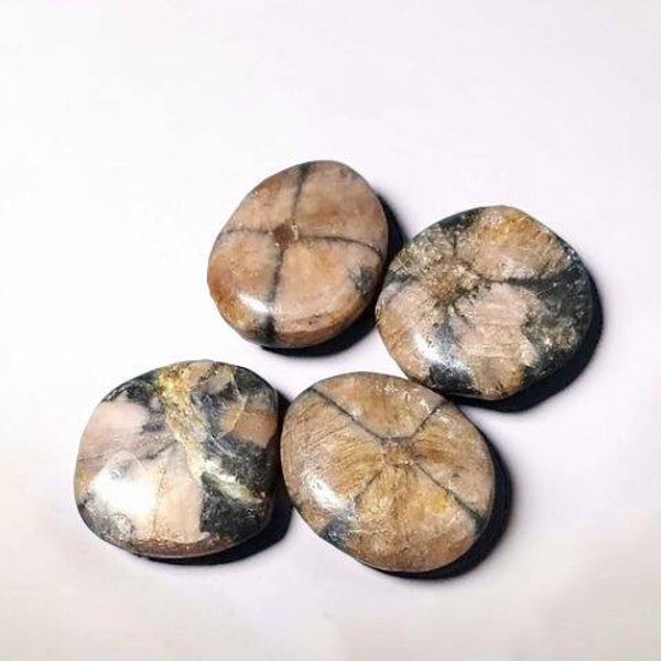 Chiastolite - Andalousite - Pierre de croix galet