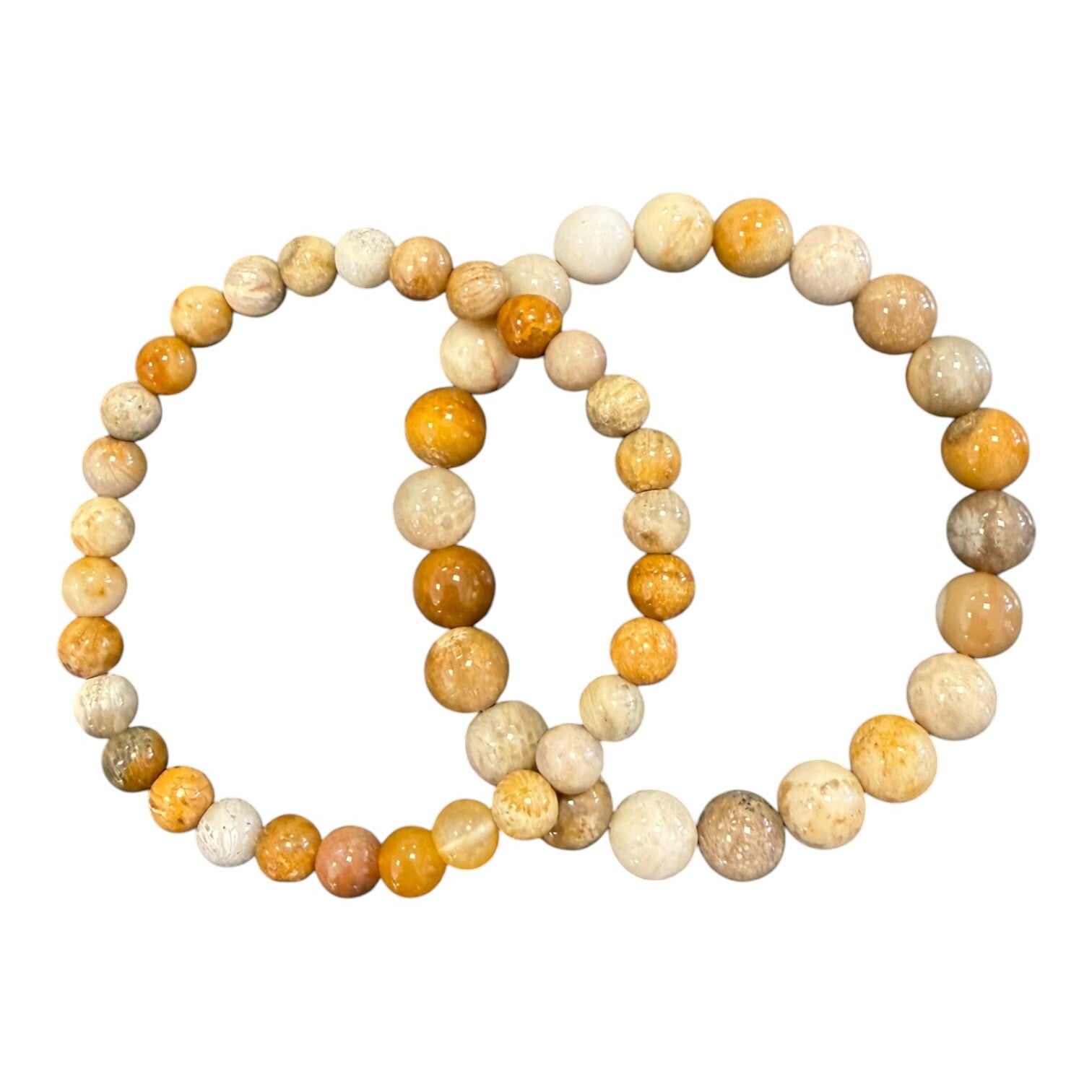 Bracelet Corail fossile