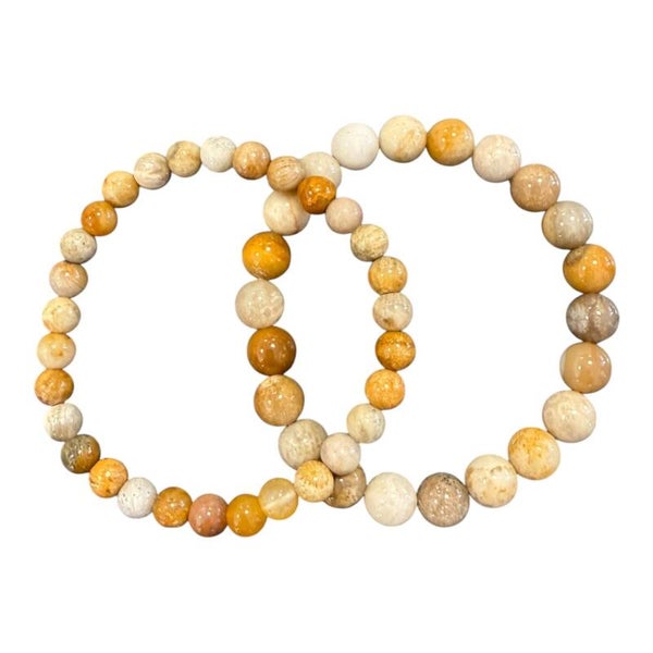 Bracelet Corail fossile