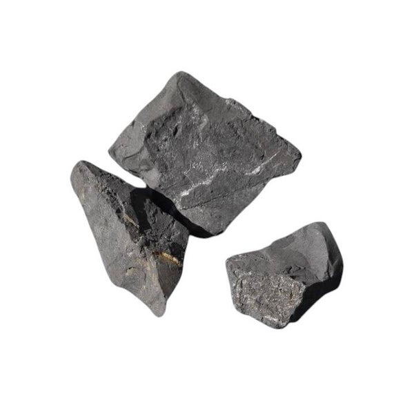 Shungite brute