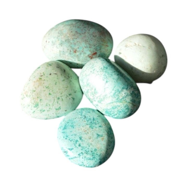 Chrysocolle