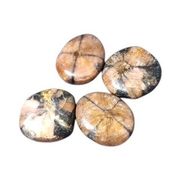 Chiastolite - Andalousite - Pierre de croix galet