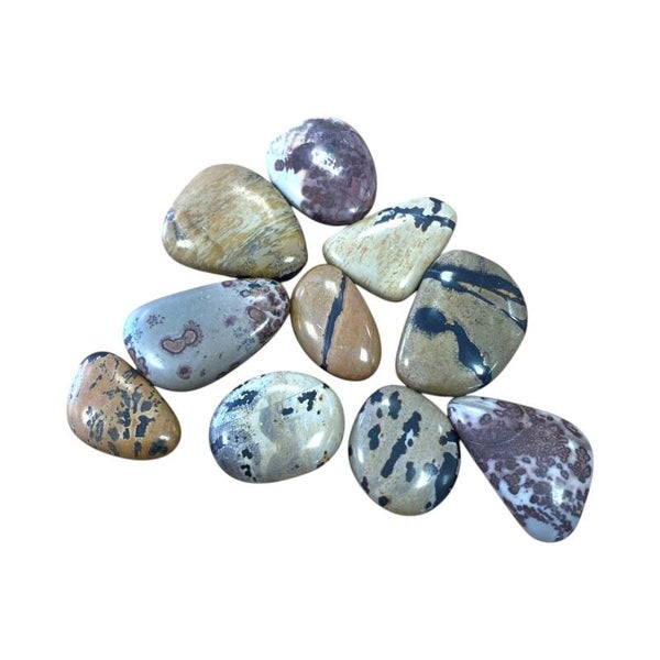 Marbre Dendrite