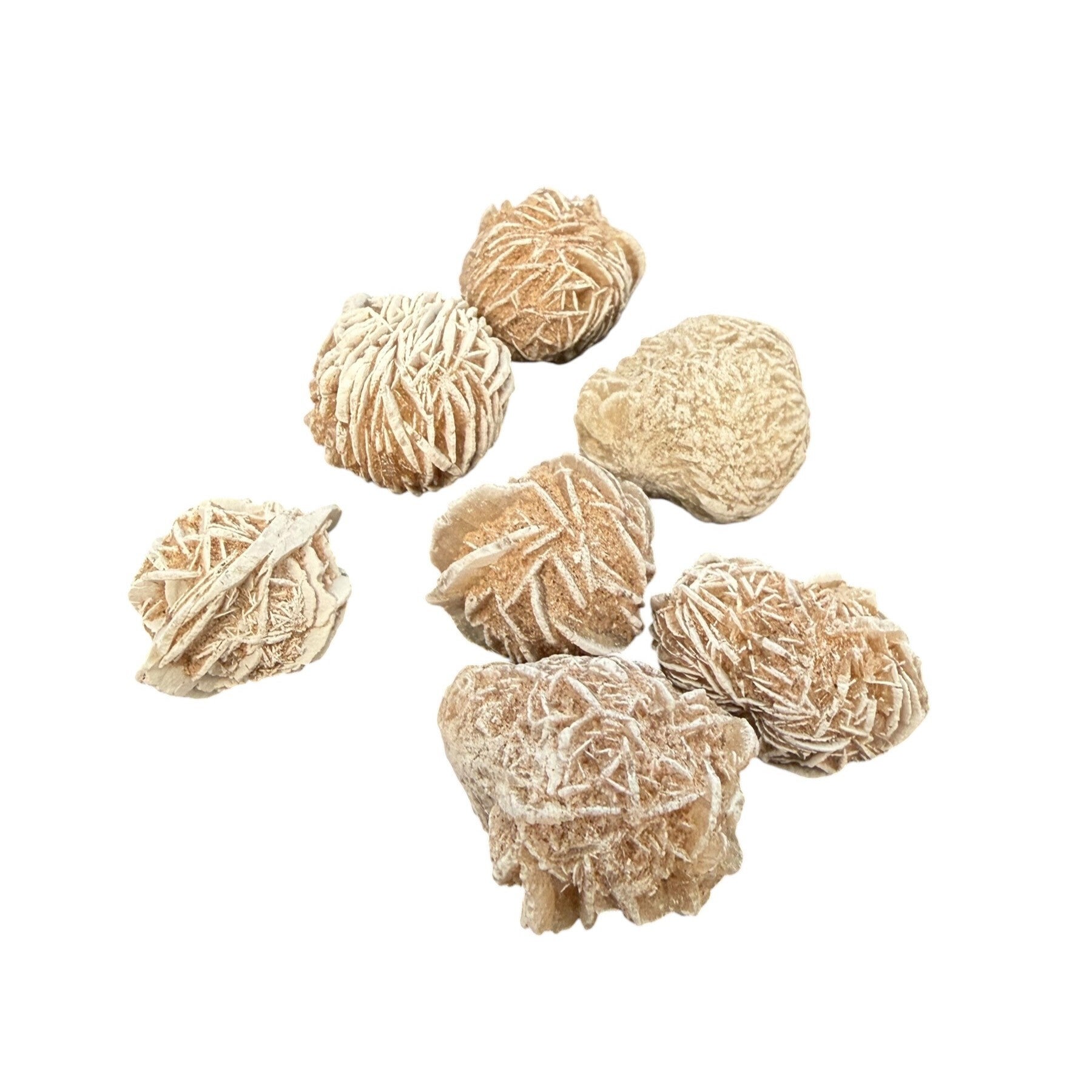 Rose des sables