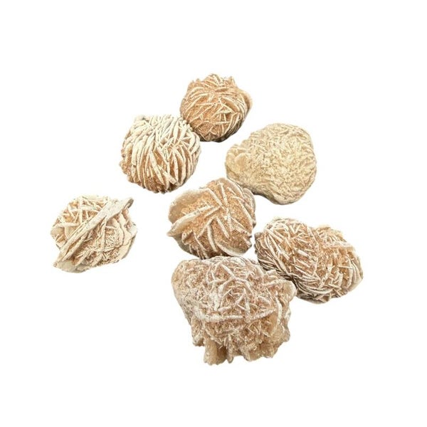 Rose des sables
