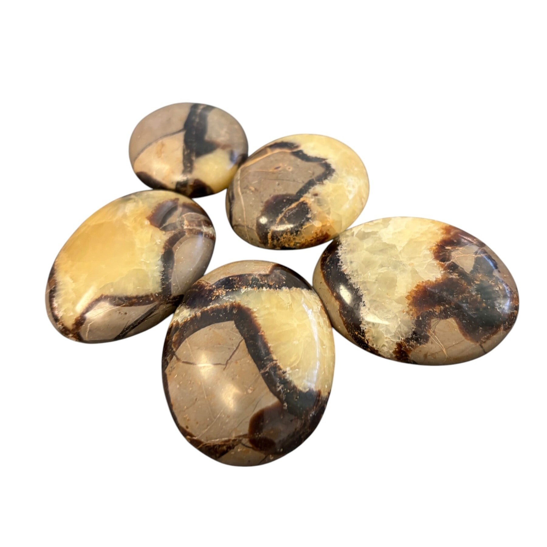 Septaria