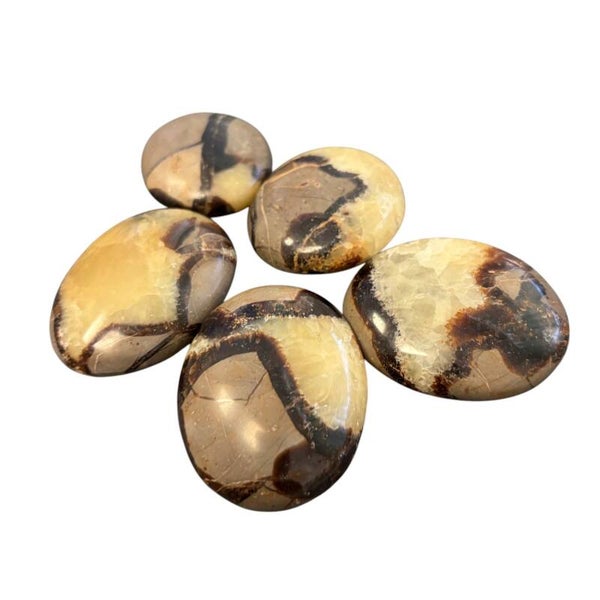 Septaria