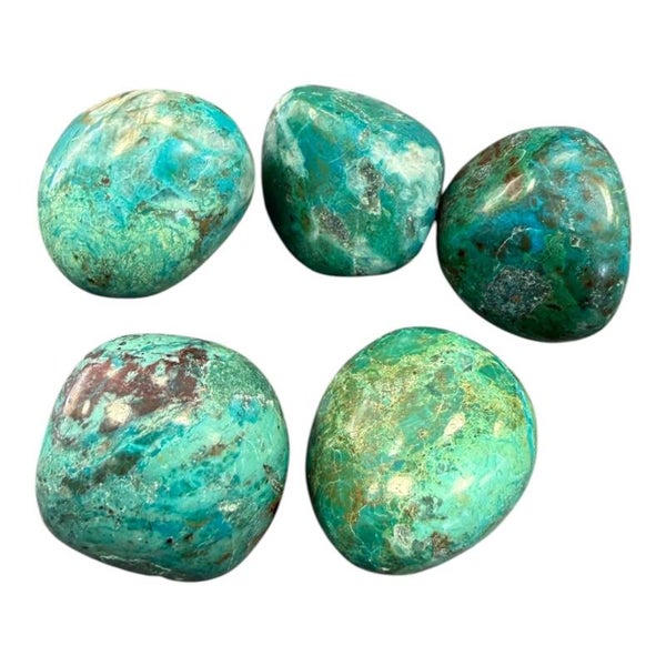Chrysocolle