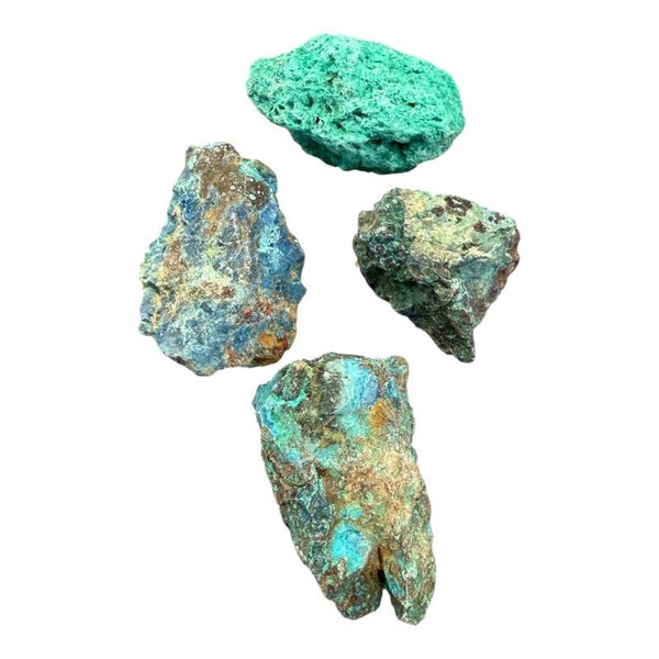 Chrysocolle brute