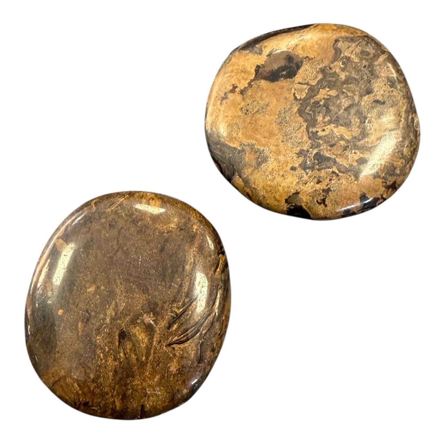 Stromatolite