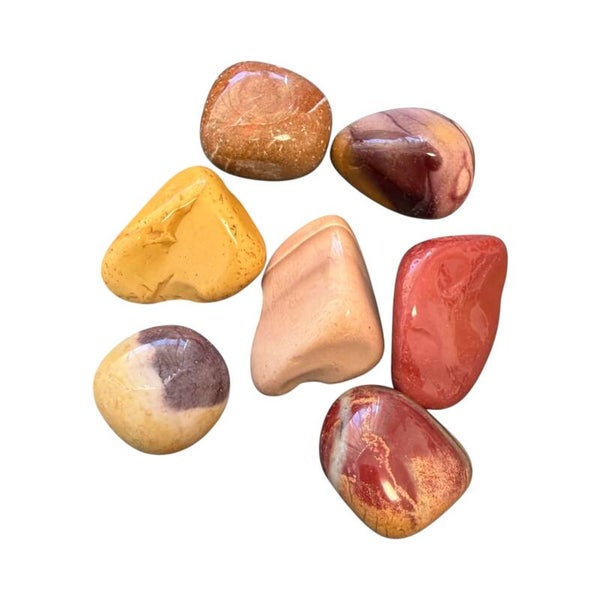 Jaspe Mokaite