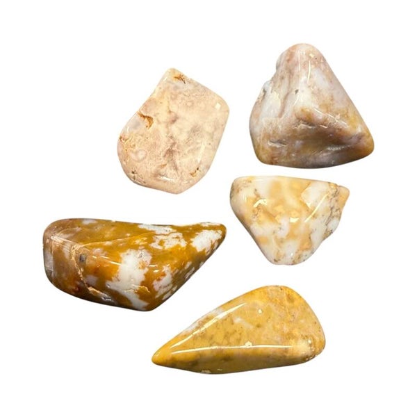 Jaspe Orbiculaire jaune