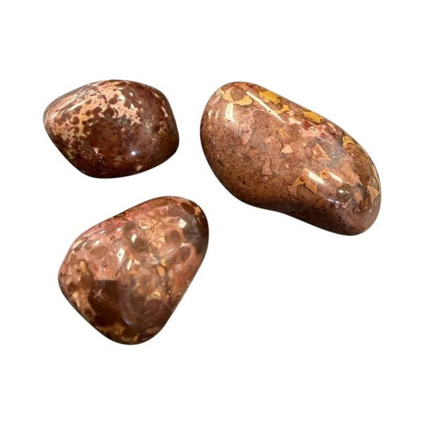 Jaspe Poppy