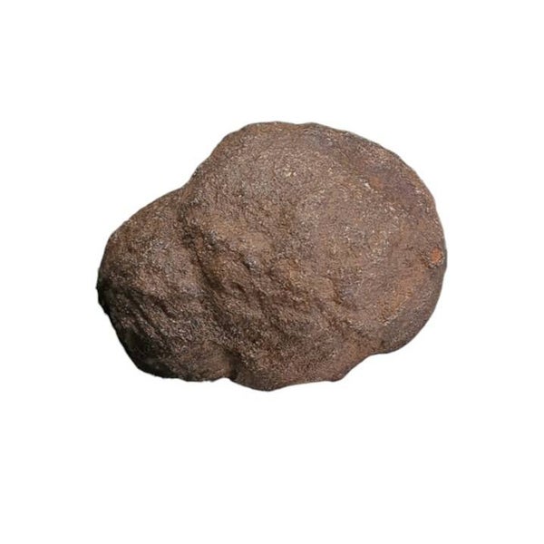 Moquies