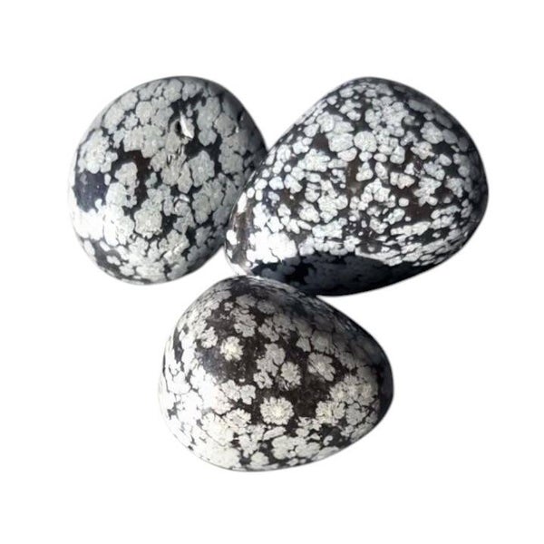 Obsidienne Flocon de neige - Mouchetée