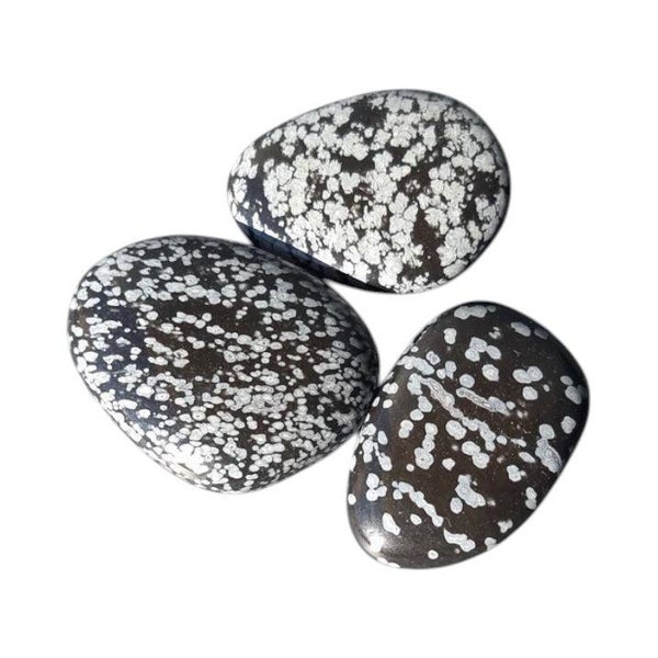 Obsidienne Flocon de neige - Mouchetée galet