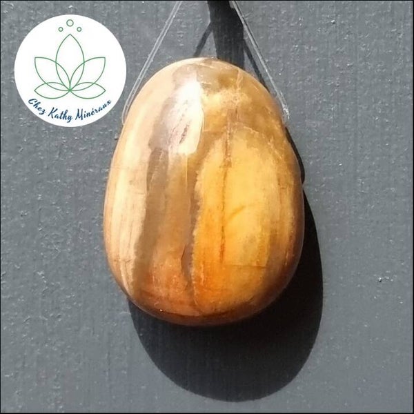 Pierre percée Bois fossile