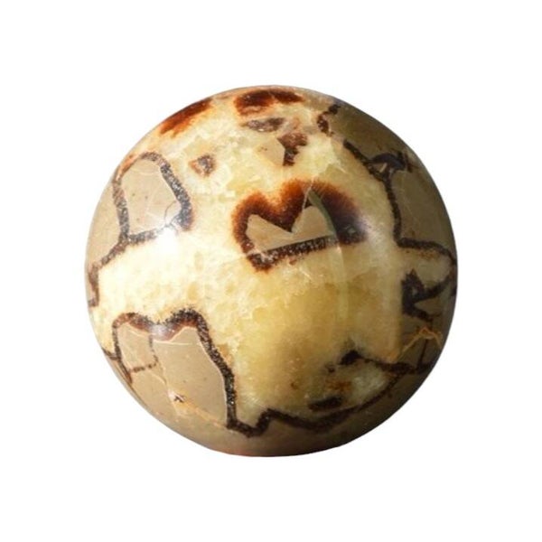Septaria sphère