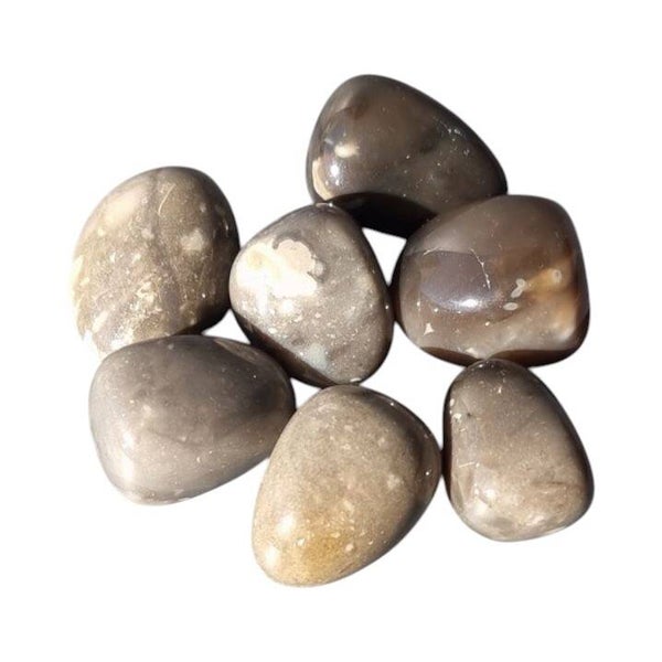 Silex