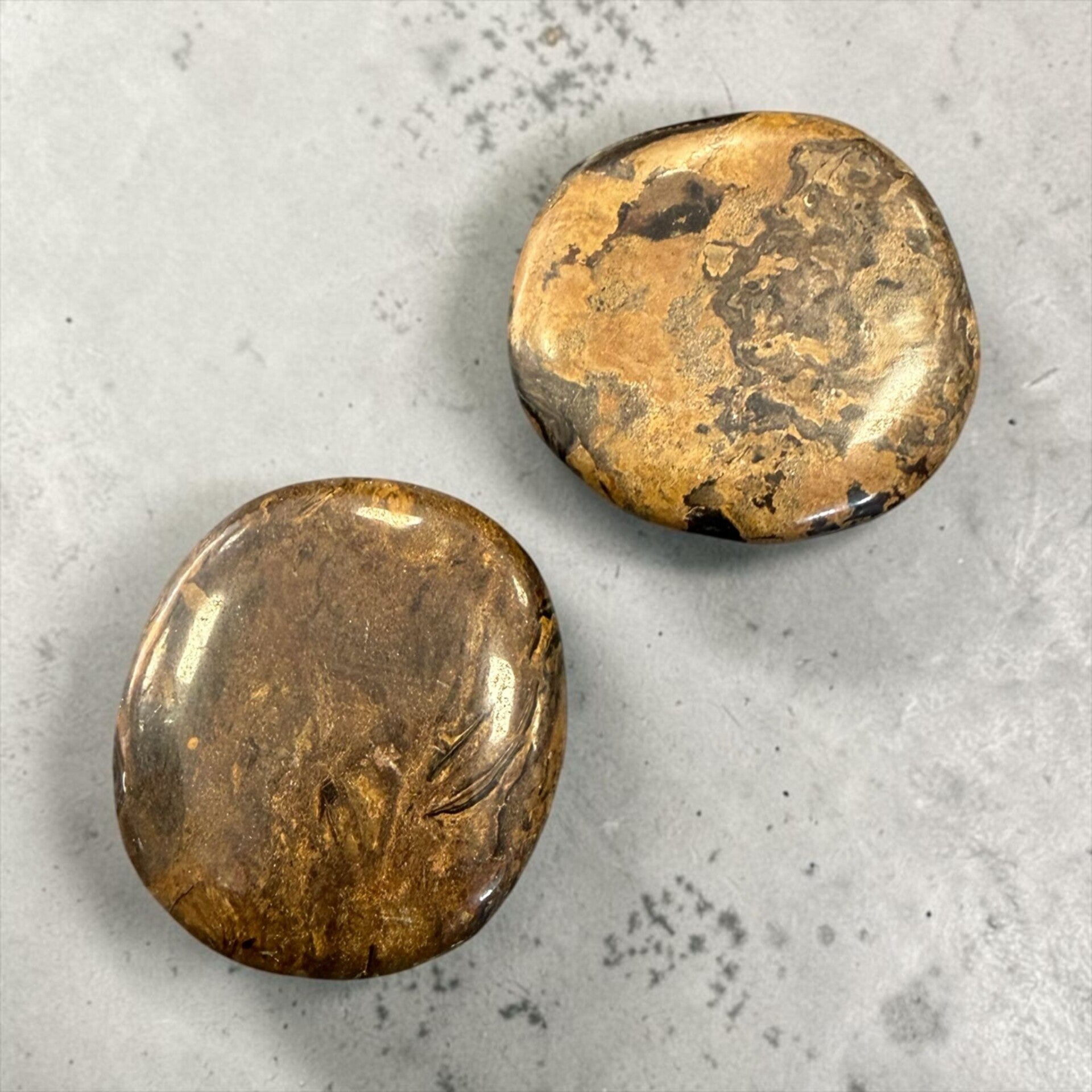 Stromatolite